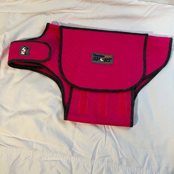 Pet therapy - Picture 3 of 4